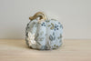 Classic Pumpkin XVI
