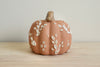 Classic Pumpkin XIV