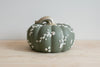SOLD OUT - Classic Wide Pumpkin V