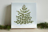 2024 Plaid Holly Ornament