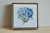 SOLD OUT - Hydrangea XIV - 8" x 8"