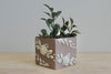 SOLD OUT - Blossom Ceramic Vase - Small